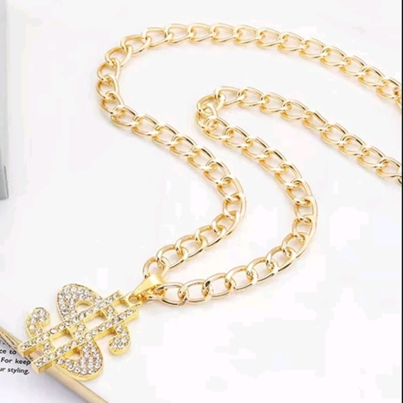Other - Dollar Pet Pendant Necklace
